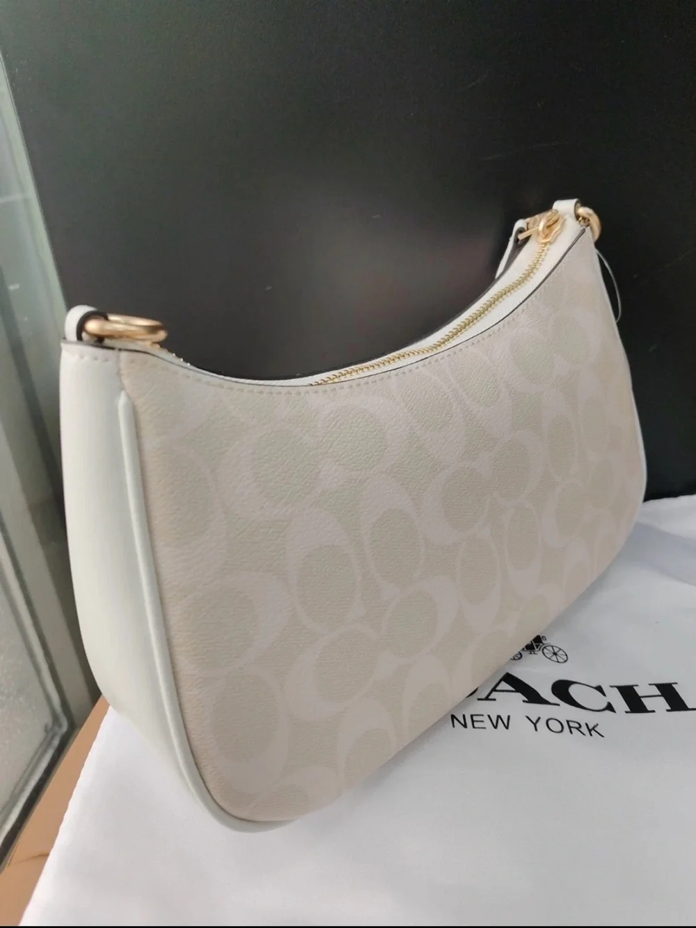 Coach Teri Signature Canvas Shoulder Bag in Glacier White